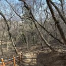 오리나무약수터 이미지