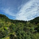 삼선산 수목원 이미지