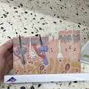 우아살롱 헤어&두피