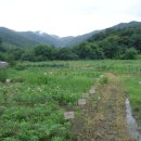 장성수 농장 이미지