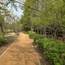 848회 일요걷기 4월27일 봄꽃나들이 서울식물원/해봄축제를 다녀왔습니다. 이미지