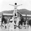 진도초등학교 이미지