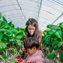 봄이네농장 이미지