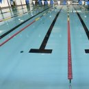 영주시 실내수영장 이미지