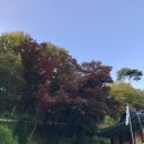 부춘공원1로 이미지