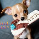 북부순환13번길 이미지