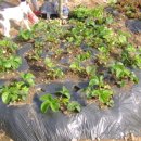 종기농장 이미지