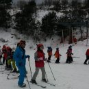 대마초등학교 이미지