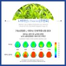 동탄아이누리한의원식품