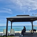 동해애견센터 이미지