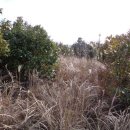 상창보건진료소 이미지