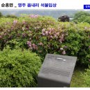 영주읍내리석불입상 이미지