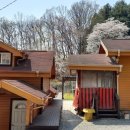 3월펜션 이미지