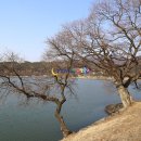 산야초한방삼계탕