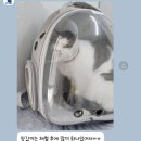 블루베어동물병원 | 블루베어 동물병원/ 반려동물을 1순위로 여겨주는 곳/ 오산,화성,수원,동탄 동물병원 추천