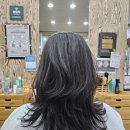 씨투헤어클럽 사천점 네이버블로그