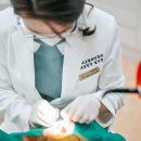 설 치과기공소 이미지