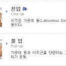 친업(Chin up) 과 풀업(Pull up)의 차이 이미지