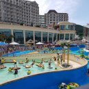 바글바글 이미지