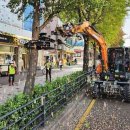 은행나무사거리1 이미지