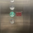 다온당 | 분위기 좋은 수원 영통 칵테일바 다온당 전메뉴, 가격, 방문 후기