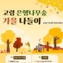 나무숲 - 사천시 | 나무숲