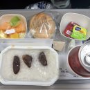 907 | 대한항공 인천-런던 히드로 KE907,KE908 이코노미 탑승 후기 | 맨뒷자리, 충전, 특별기내식(생야채식...