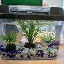 화순군치매안심센터 이미지