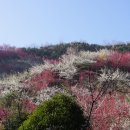 휴베스트