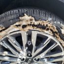 씨티엠셀프세차장 이미지