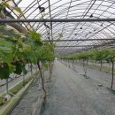 화수농장 이미지