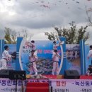 용인대 푸르미르 태권도 이미지