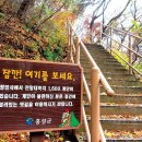 광천정기시장 이미지