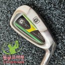 아이언 플렉스(IRON FLEX) 이미지