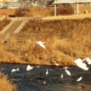 징검다리도서관 이미지