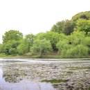 정희농장 이미지