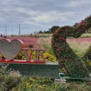 노을정원 이미지