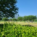 삼문동 밀양파크골프장 이미지