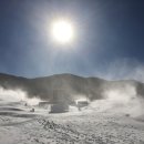 웰리힐리 스키장 이미지