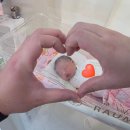 라움산부인과의원 | 창원 라움산부인과 제왕절개 후기 (경산모, 둘째출산)