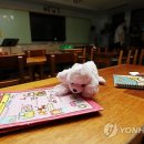 부상초등학교 이미지