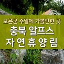 충북알프스자연휴양림 보은군 주말에 가볼만한 곳 이미지