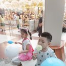 제주기사 이미지