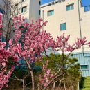 의료법인 로뎀의료재단 이미지