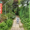 솔터농장 이미지