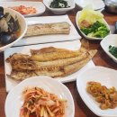 담은정 티스토리