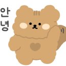 허니스티 펫 베이커리 이미지
