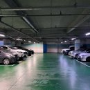 도그야미 이미지