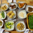 난영회센타 | 목포 석현동 맛집 청호시장내 현지인 횟집 난영수산