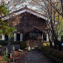 숲속의 섬 이미지